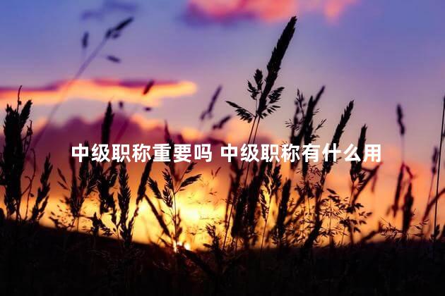 中级职称重要吗 中级职称有什么用